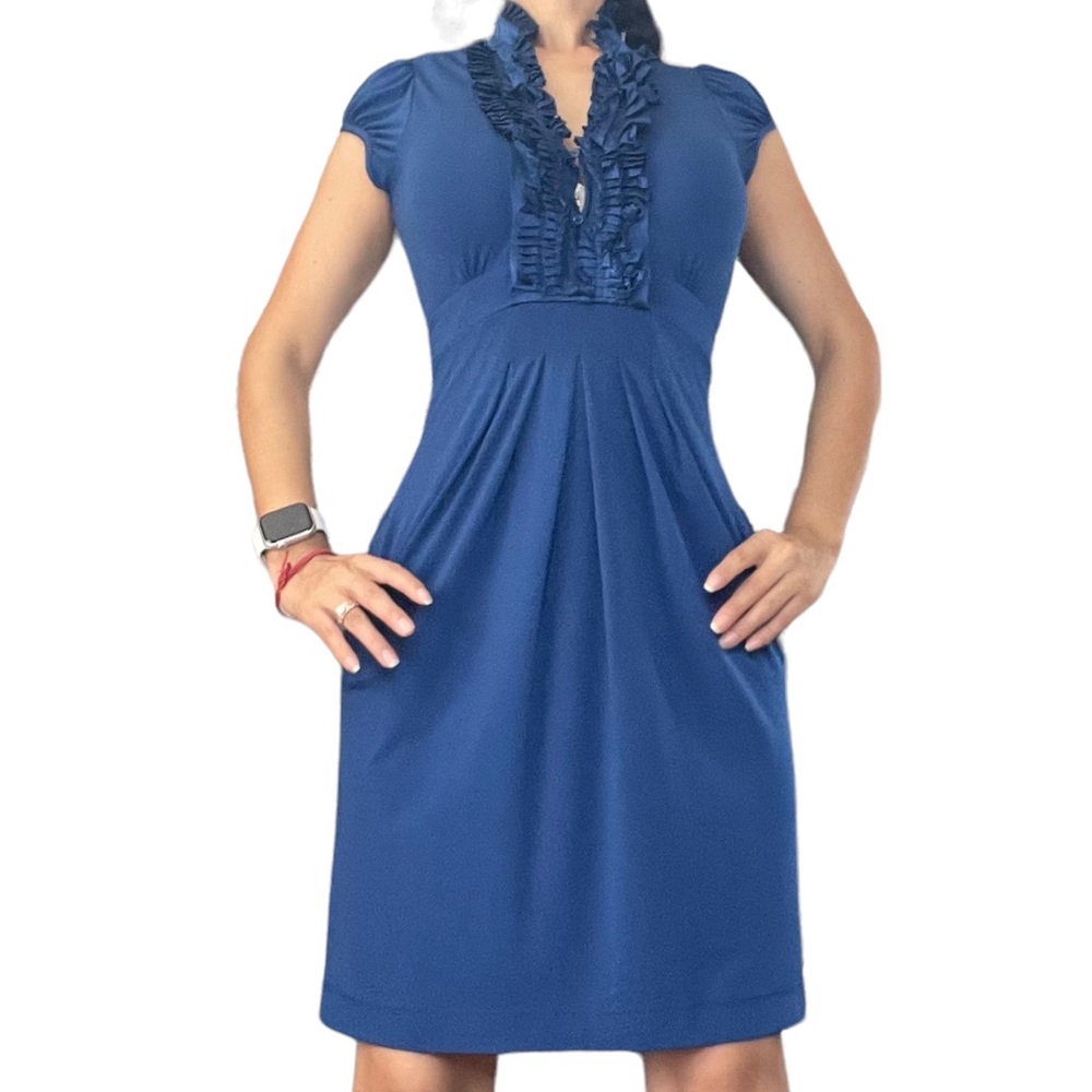BCBG Maxazria Sheath Dress Size XS Blue Silk Knee Length Front Pleated Stretch